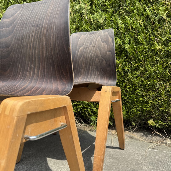 Image 1 of 16 Stühle - ADAM STEGNER für PAGHOLZ FLÖTOTTO