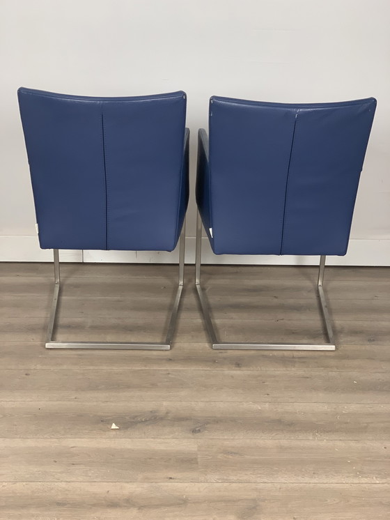 Image 1 of 2 x Tidy van Bert Plantagie 