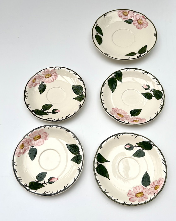Image 1 of Título para Whoppah Villeroy & Boch “Wild Rose” – Juego de 6 platillos, porcelana pintada a mano