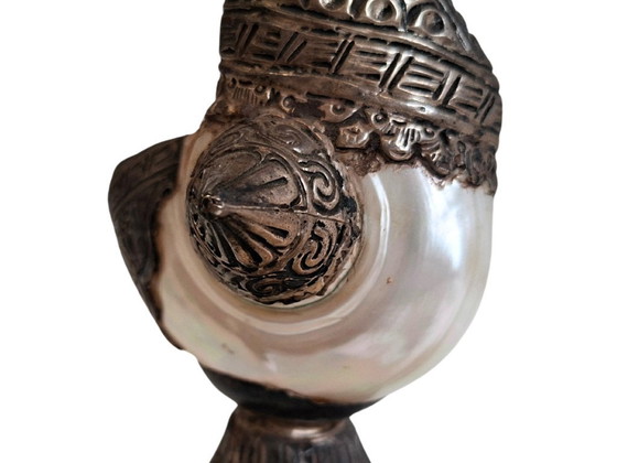Image 1 of Exclusiva pareja de cisnes angloindios de concha y plata – 1950