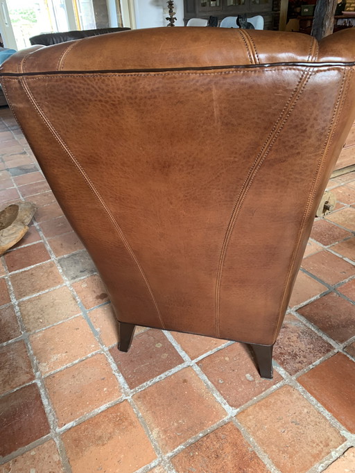 Armchair Upholstered in Neck Leather