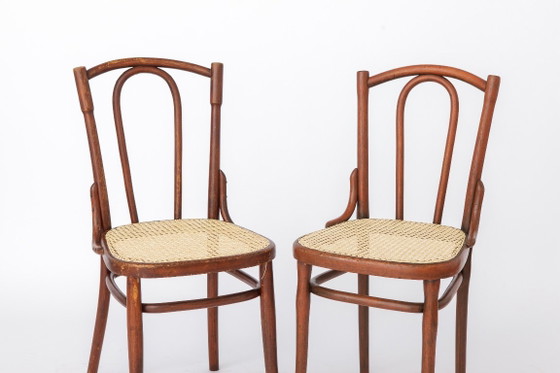 Sedia antica in legno curvato nello stile di Thonet n. 56 | Sedia da bistrot austriaca in rattan | Anni '30 (photo 11 of 11)