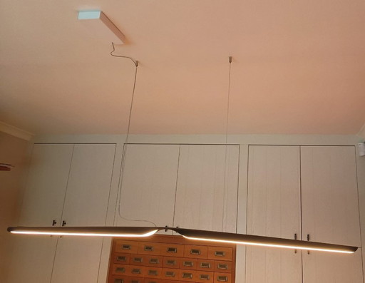 Lámpara colgante Tunto Swan