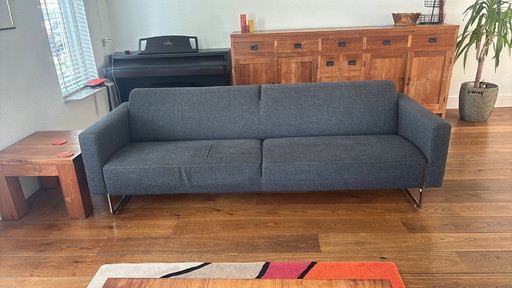 Artifort Mare Antracite Grey
