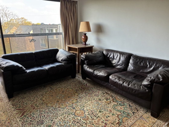 Image 1 of De Sede DS17 set van 2-zit en 3-zit 