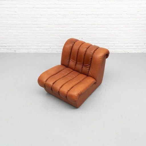 De Sede DS-85 Armchair 70s