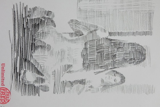 Litografia digitale firmata a mano, 20 x 30 cm, 1/5 - 5 – Litografie e stampe, Carta (photo 6 of 6)