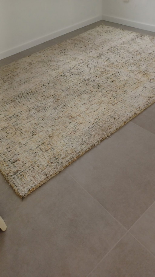 Tapis Griffen multicolore