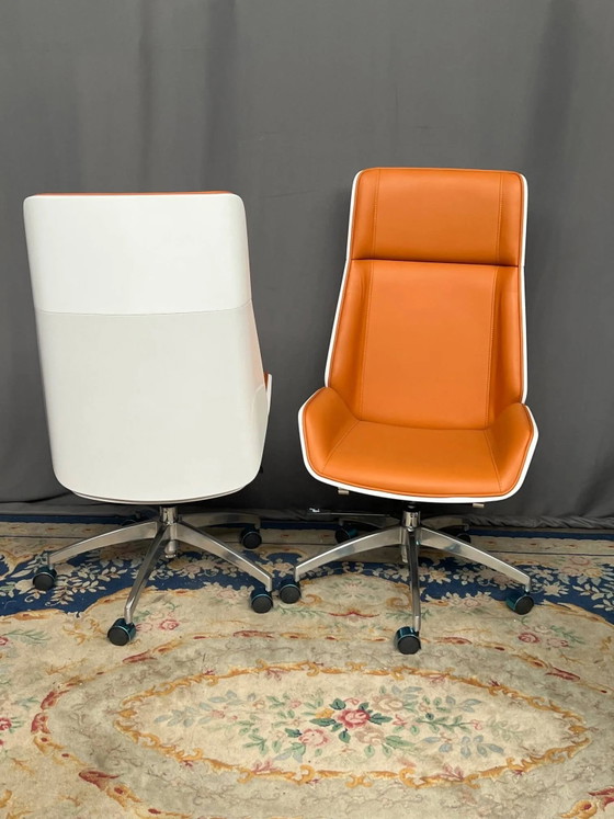 Set di sedie di design. – Sedie da ufficio (photo 5 of 6)