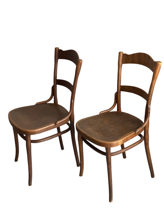 Image 1 of Zeldzame set antieke Thonet-Mundus stoelen, circa 1920 – Weense Secession elegantie in origineel gebogen hout.