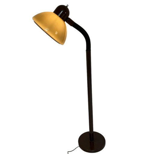 Dijkstra - Rare model - Space Age Design / MCM Floor lamp with gooseneck