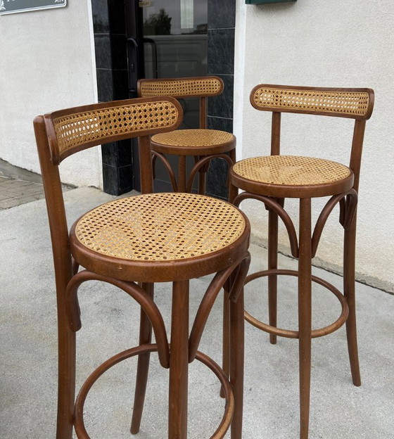 Juego de 3 sillas de madera curvada y mimbre, estilo Thonet italiano de mediados de siglo. – Asslegno (photo 7 of 8)