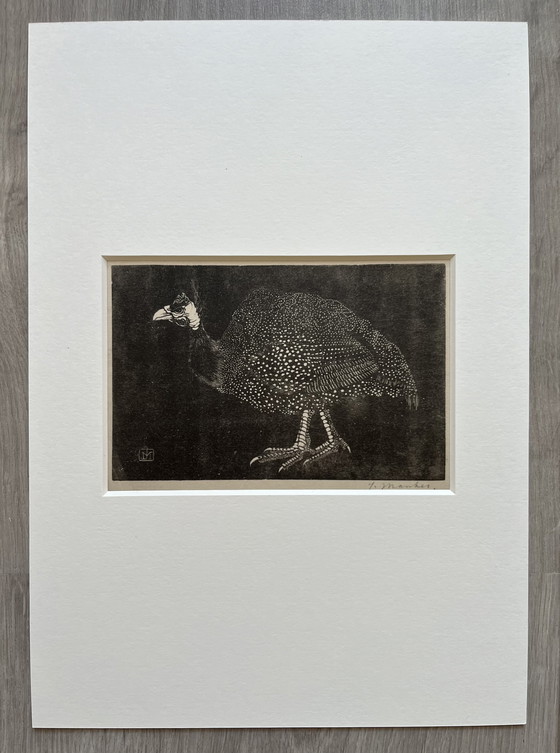 Image 1 of Jan Mankes 1889-1920 / Original Heliogravüre Perlhuhn 1923