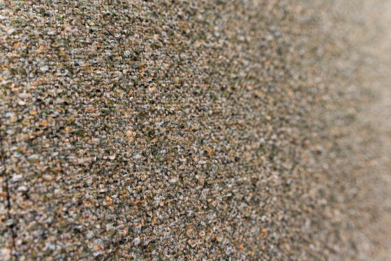 Image 1 of Paar Mid Century Sessel B7522 von Zenon Bączyk, Polen, 1960er Jahre