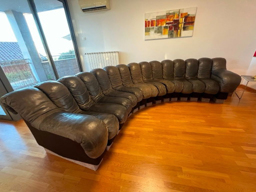 De Sede DS-600 "Tatzelwurm" banken – Olijfgroen leer – Totaal 21 modules – modulaire banken, Leather