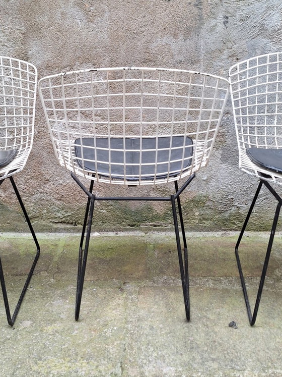 Image 1 of Set van 4 draadstoelen van Harry Bertoia, jaren 60.