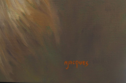 Jeune Lion Huile sur toile de Sylvie AJACQUES