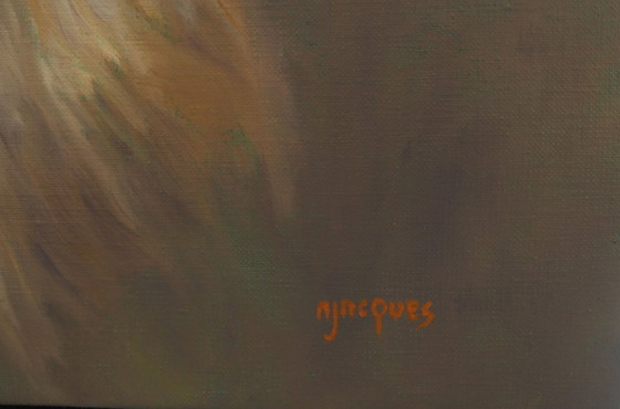 Image 1 of Junger Löwe, Öl auf Leinwand von Sylvie AJACQUES