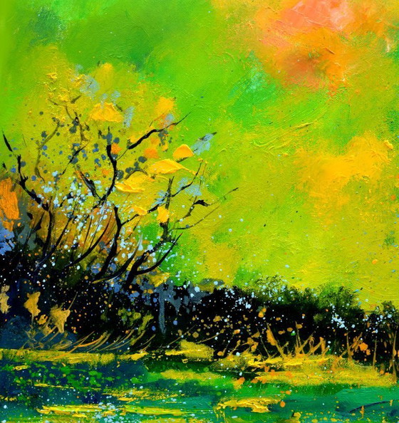 Image 1 of Stagno verde