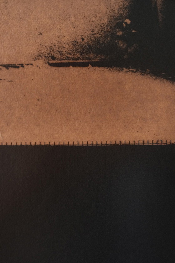 Acquatinta, Ryoji Ikeda, Stampe artistiche, Carta, Nero (foto 4 di 10)