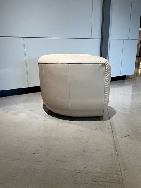 De Sede Fauteuil DS-707