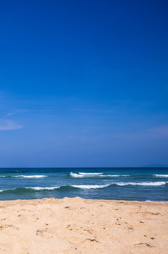 Image 1 of Urlaub bei Franck Leclerc