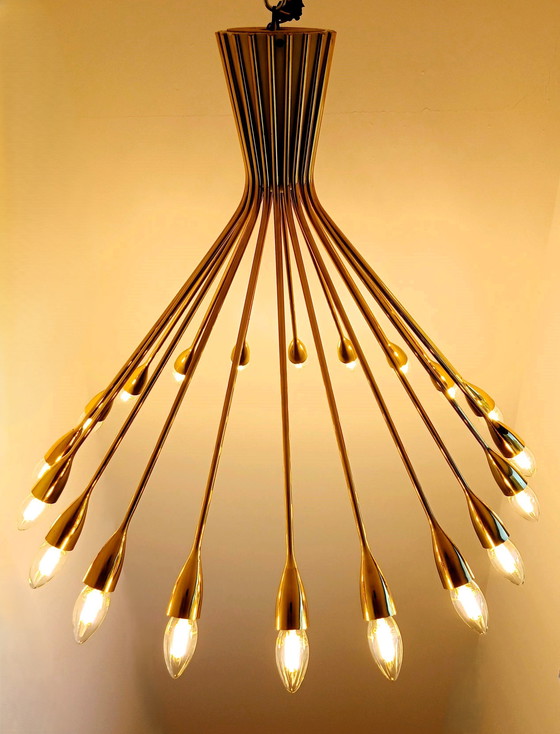 Image 1 of Oscar Torlasco para Stilnovo