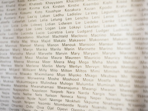 Beautiful Milou Van Ham Mirror With 6000 Names