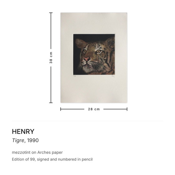 Henry gesigneerde mezzotint Tigre 1990 – Litho's & Zeefdrukken, Paper (photo 3 of 5)