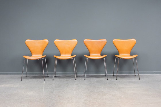 Image 1 of Sedia "farfalla" Serie 7, set da 6