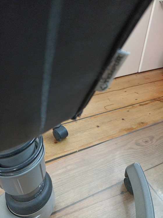 Image 1 of Sedia da ufficio Swopper con molle e schienale