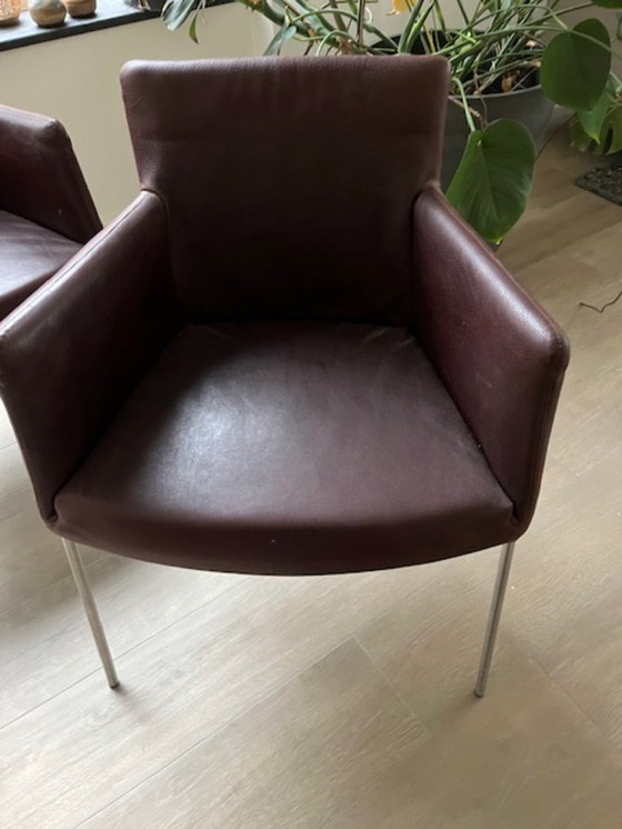 Image 1 of 4 x Label leren eetkamerstoelen Tiba 