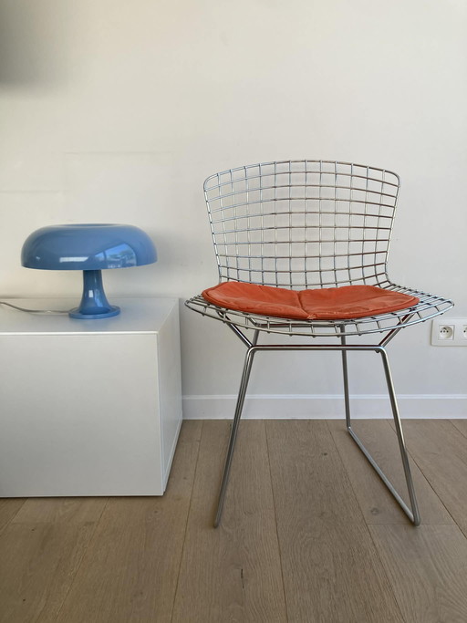 Bertoia chair (knoll)