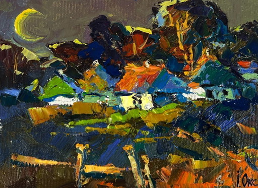 Dipinto ad olio originale Paesaggio rurale notturno La luna illumina il villaggio