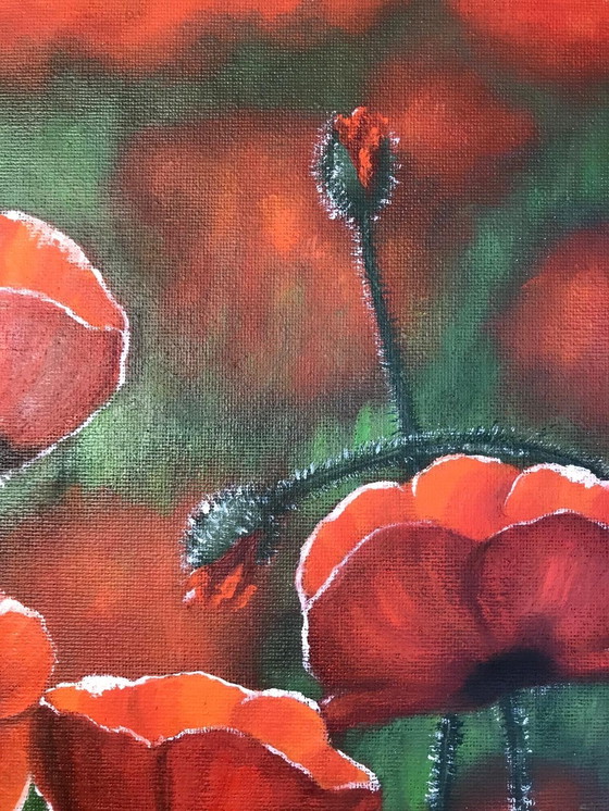 Image 1 of Pintura al óleo - Irina Gauss - Amapolas en verano