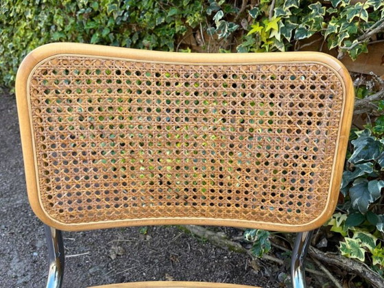 Image 1 of sedia in canna