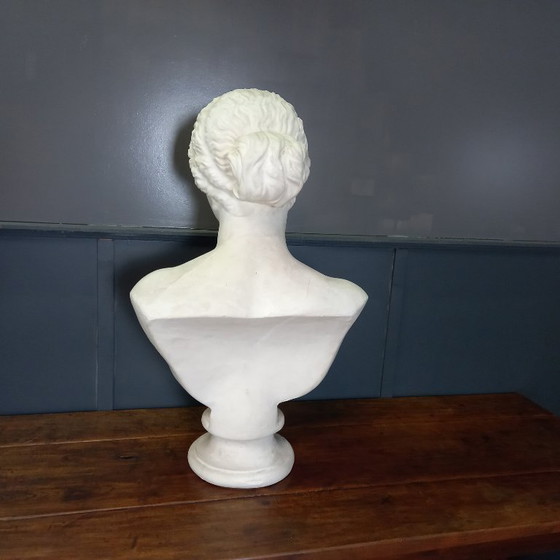 Image 1 of Busto excepcionalmente grande de tamaño natural de la Venus de Milo, busto grande de yeso