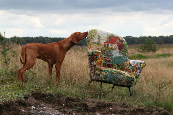 Image 1 of 1 restored ear armchair with hand embroidered gobelins
