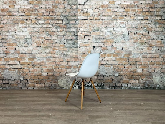 Vitra DSW Wit/Hout - MEER OP VOORRAAD – Eetkamerstoelen, Metal, Plastic (photo 5 of 15)