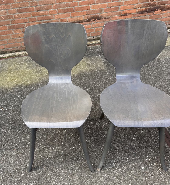 Image 1 of 5x Linteloo Tulipani design eetkamerstoelen 