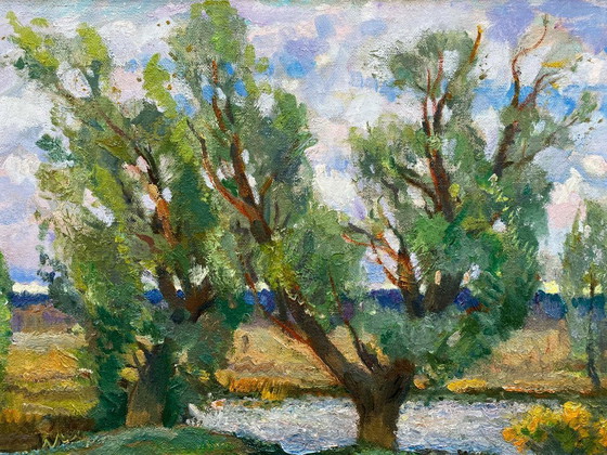 Image 1 of Original Vintage Oil Painting Natural Landscape