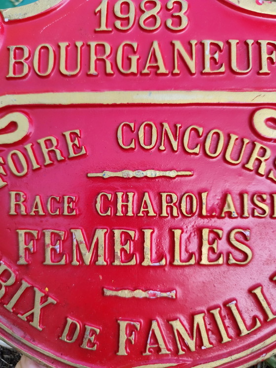 Agrarische Rundvee Beurs Wedstrijd Plaat Charolaises 1983 – vintage, Wanddecoratie, Aluminium (photo 6 of 6)