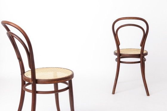 Ensemble de 6 chaises de salle à manger autrichiennes vintage en bois courbé, assises en hêtre foncé et (photo 6 of 11)