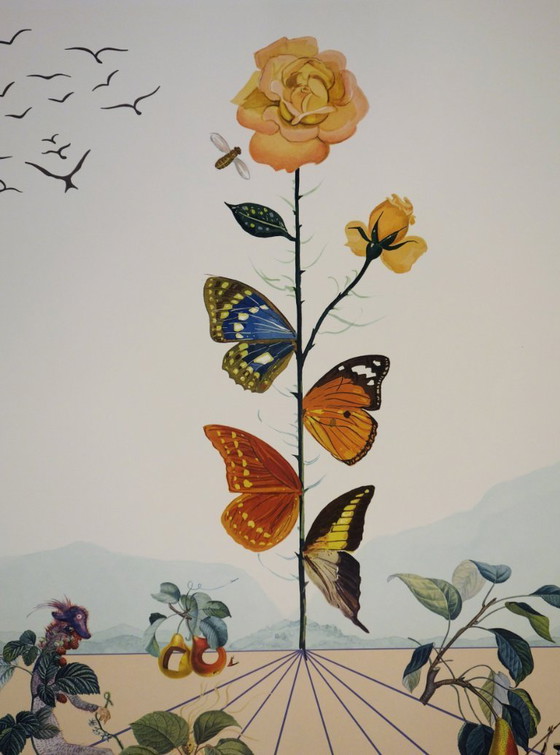 Salvador Dali : Flordali, La Rose Papillon, Lithographie Originale Signée – Lithographies et sérigraphies (photo 3 of 6)