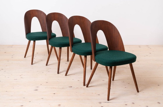 Image 1 of Set of 10 Mid Century Dining Chairs by A. Šuman, 1960s, Customizable Upholstery Available