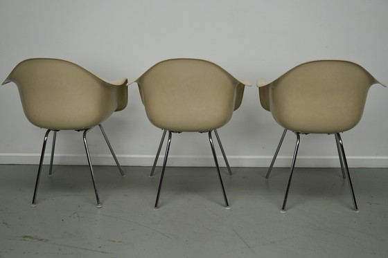 Image 1 of Ensemble de trois fauteuils DAX en fibre de verre parchemin Eames pour Herman Miller / Vitra