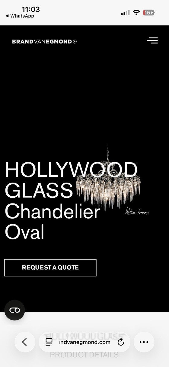 Image 1 of Lámpara de araña ovalada de la marca Egmond, Hollywood Glass Icicles