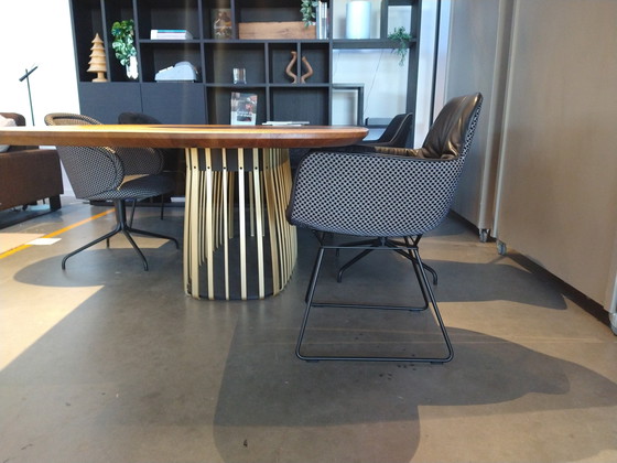 Image 1 of Janua - Cestino