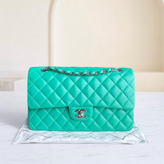 Image 1 of Chanel Classic Flap Medium - 25CM Quilted Lambskin Light Green Silver Hardware Series 16