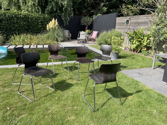 Image 1 of Sedia impilabile Pagholz flötotto vintage 6 pezzi